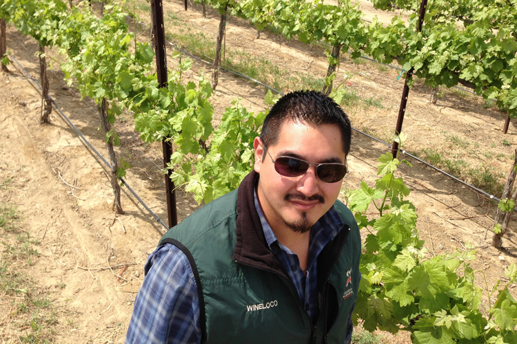 SavorNW Wine News