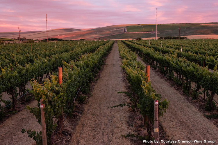SavorNW Wine News