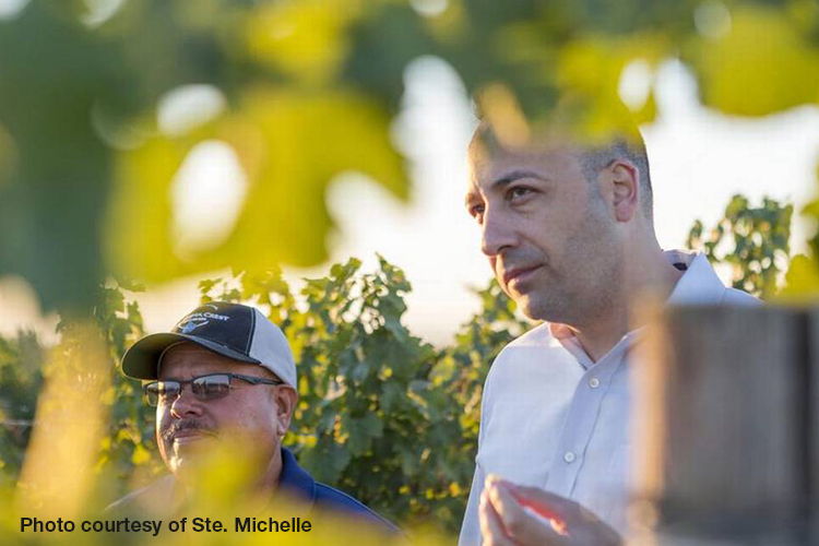 SavorNW Wine News
