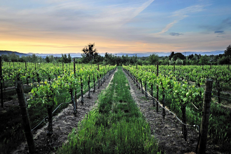 SavorNW Wine News