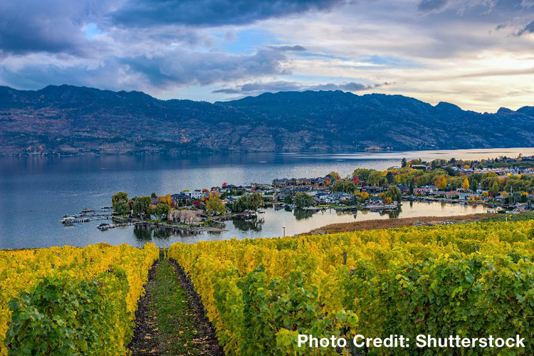 The Thundering Increase In Okanagan Valley Wines