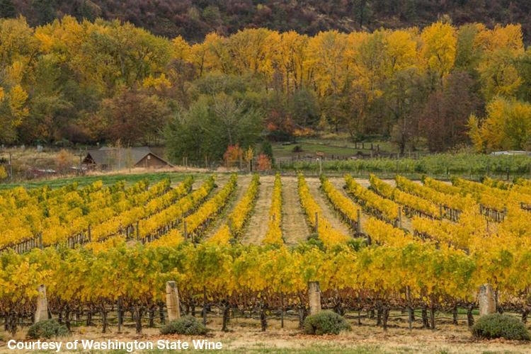 Washington Wines For Thanksgiving