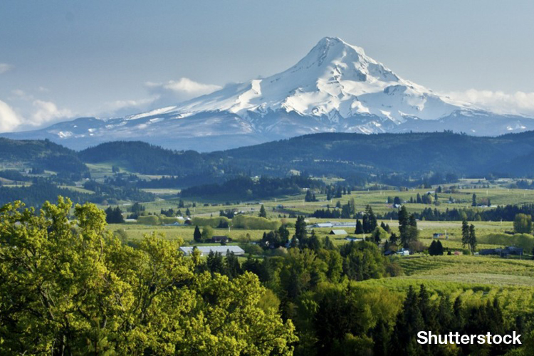 Pacific Northwest Wines Offer Something Different for Adventurous Drinkers